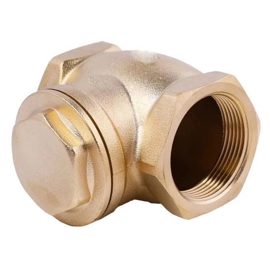 1/2 Inch Bsp NPT Quality China Supplier Brass Spring Check Valve