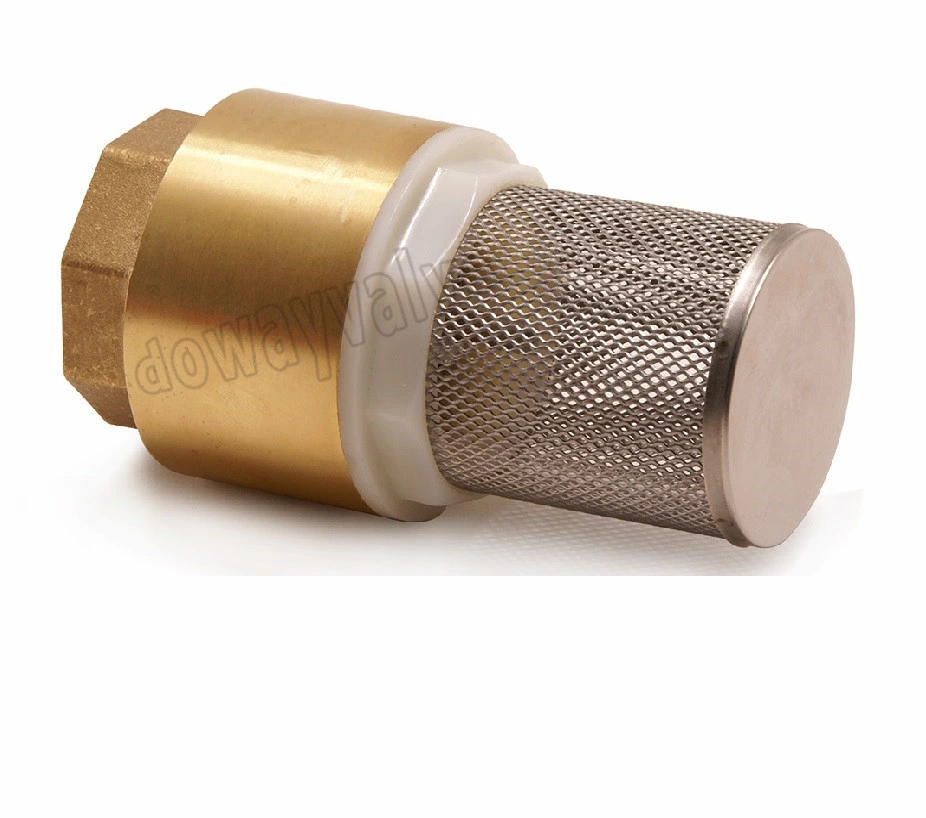 OEM/ODM Factory Forged Brass Non Return Spring Check Valve Inline Plasted in Polymer